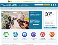 ACE website screenshot