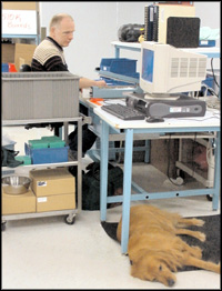 Medtronic employee working on a computer