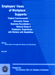 Employers' Views of Workplace Supports (Monograph): National Study of Employers' Experiences with Workers with Disabilities